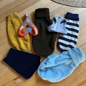 Italian greyhound puppy clothing sweaters bundle 2-3mo